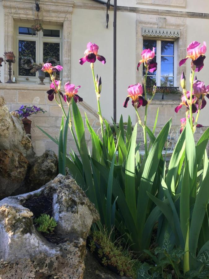 Clos Remy Precy-sur-Oise Exterior foto
